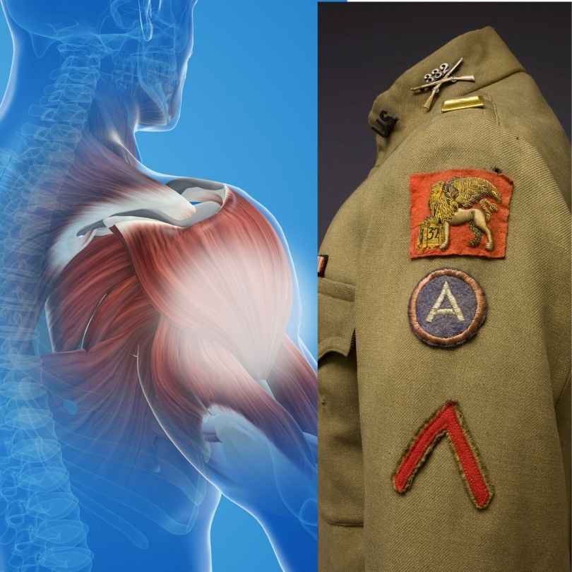 Regimenta Badge area