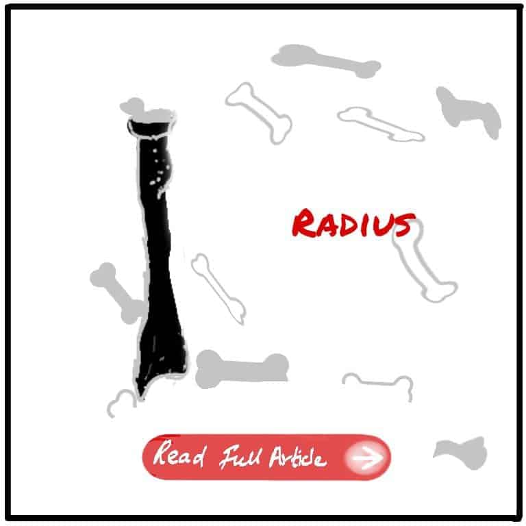 Radius Features Image