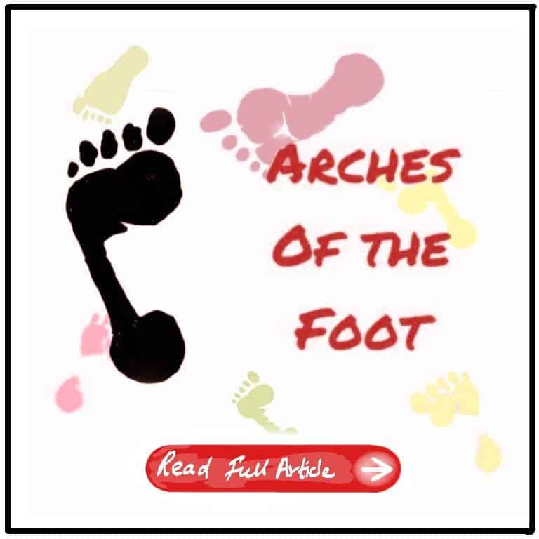 Arches of The Foot