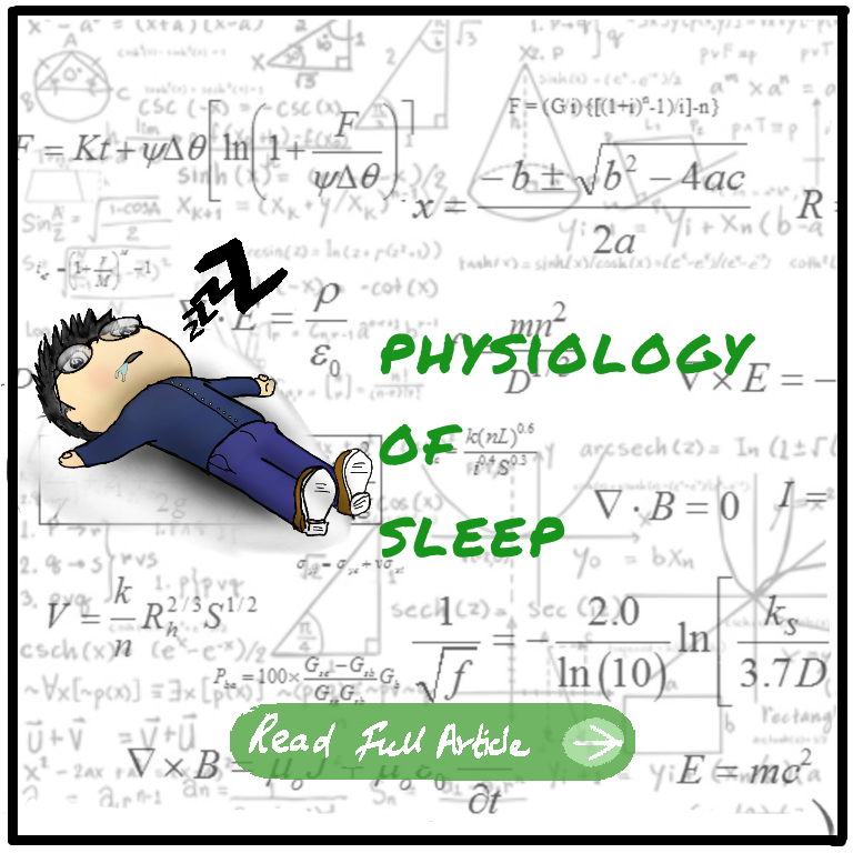 Physiology of sleep featured image