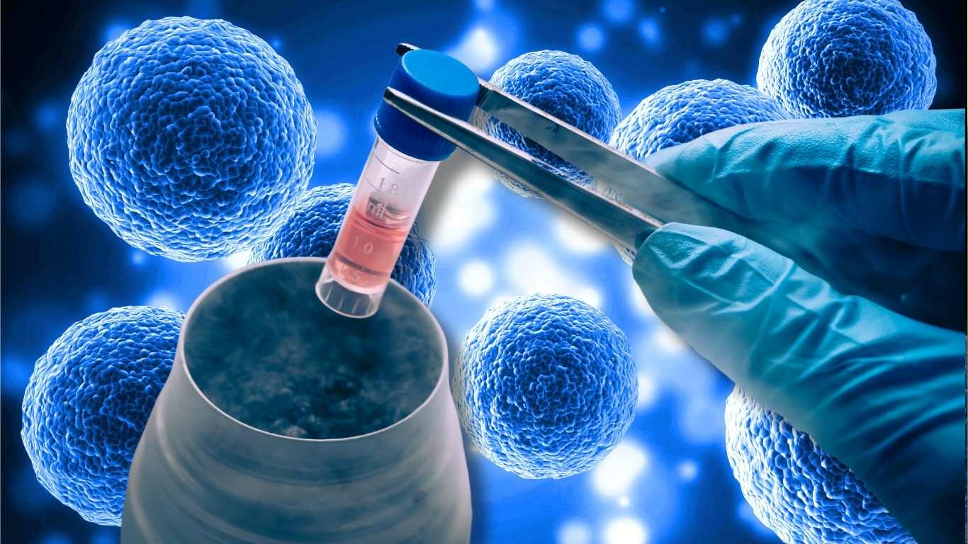 Stem Cells, Stem cell morpholohy, stem cell transplant