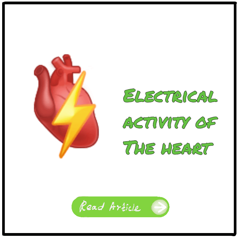 Electrical acivity of the heart Read More